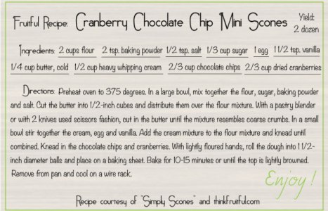 cranberry-chocolate-chip-mini-scones