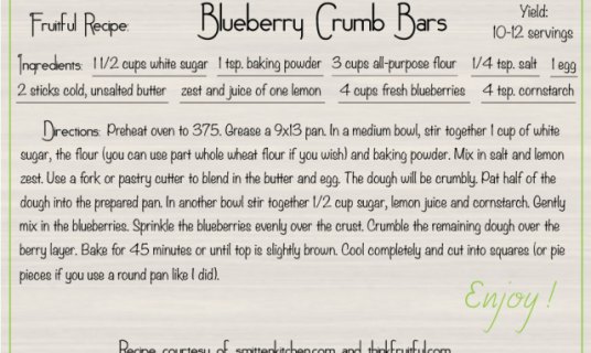 blueberry-crumb-bars